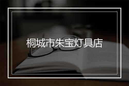 桐城市朱宝灯具店