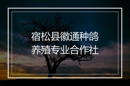 宿松县徽通种鸽养殖专业合作社