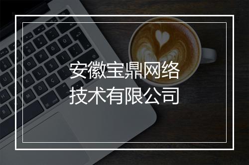 安徽宝鼎网络技术有限公司