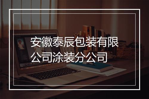 安徽泰辰包装有限公司涂装分公司
