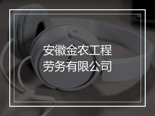 安徽金农工程劳务有限公司