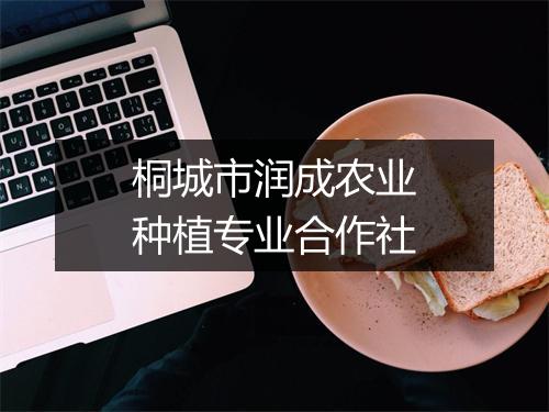 桐城市润成农业种植专业合作社
