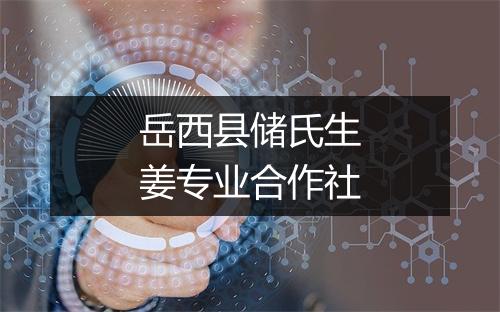 岳西县储氏生姜专业合作社