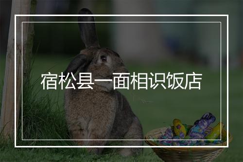 宿松县一面相识饭店
