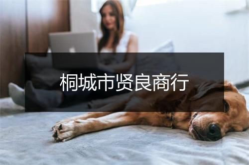桐城市贤良商行