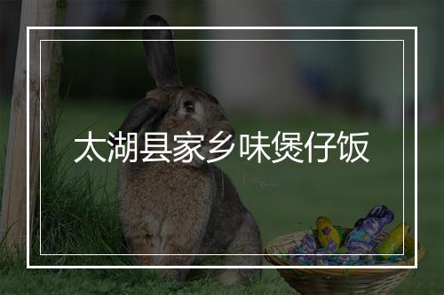 太湖县家乡味煲仔饭