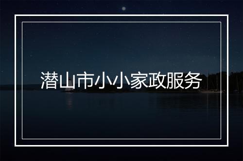 潜山市小小家政服务