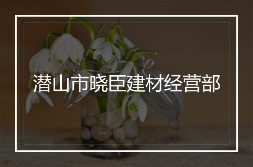 潜山市晓臣建材经营部