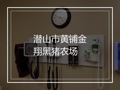 潜山市黄铺金翔黑猪农场
