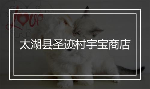 太湖县圣迹村宇宝商店