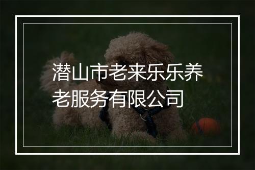 潜山市老来乐乐养老服务有限公司