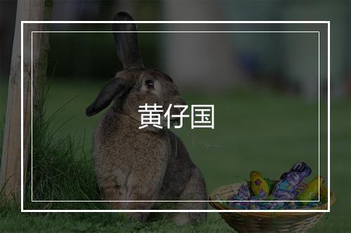 黄仔国