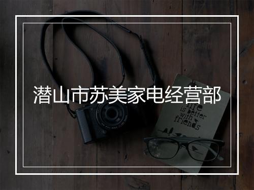 潜山市苏美家电经营部