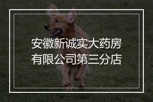 安徽新诚实大药房有限公司第三分店