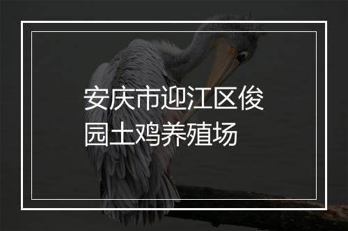 安庆市迎江区俊园土鸡养殖场