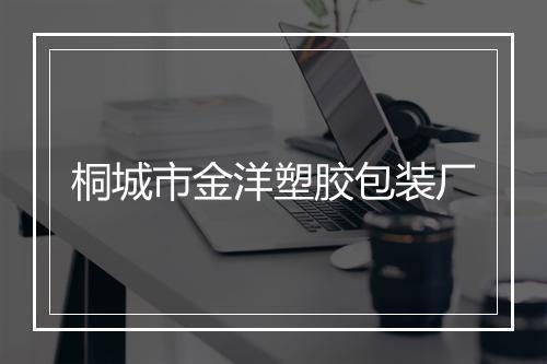 桐城市金洋塑胶包装厂