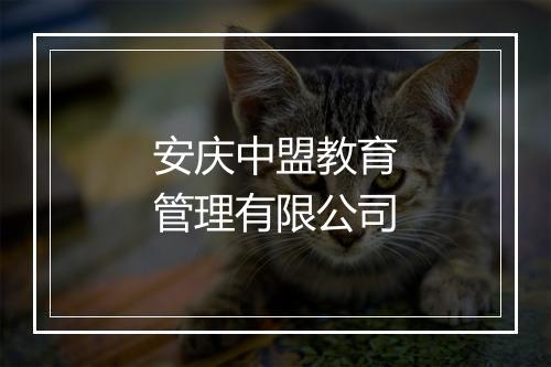 安庆中盟教育管理有限公司