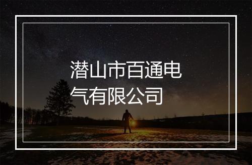潜山市百通电气有限公司
