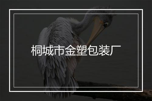 桐城市金塑包装厂