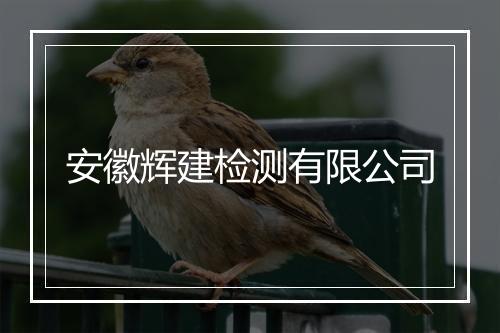 安徽辉建检测有限公司