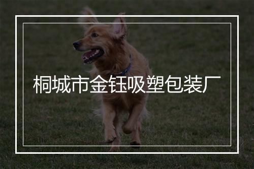 桐城市金钰吸塑包装厂