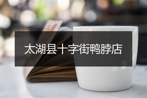 太湖县十字街鸭脖店