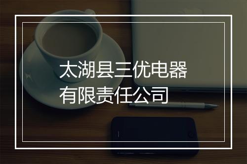 太湖县三优电器有限责任公司