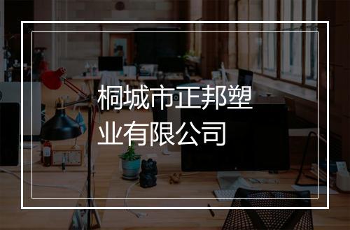 桐城市正邦塑业有限公司