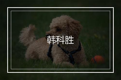 韩科胜