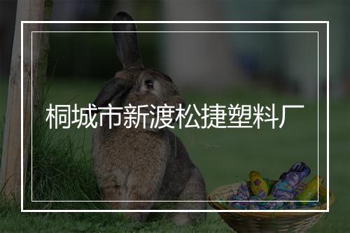 桐城市新渡松捷塑料厂