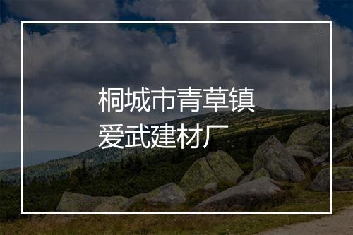 桐城市青草镇爱武建材厂