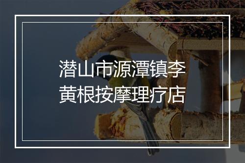 潜山市源潭镇李黄根按摩理疗店