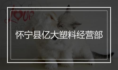 怀宁县亿大塑料经营部