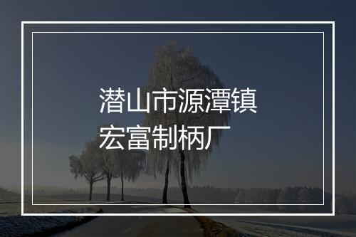 潜山市源潭镇宏富制柄厂