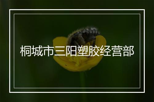 桐城市三阳塑胶经营部