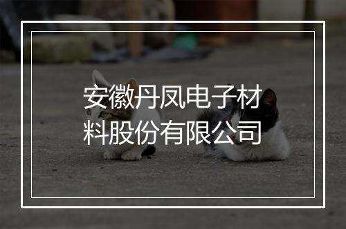 安徽丹凤电子材料股份有限公司