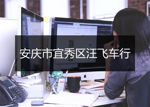 安庆市宜秀区汪飞车行