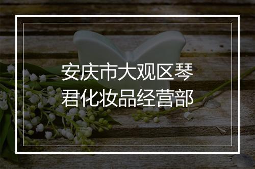 安庆市大观区琴君化妆品经营部