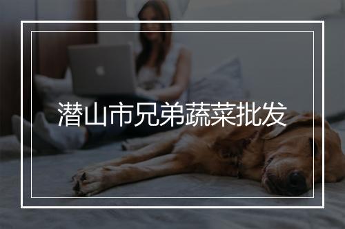 潜山市兄弟蔬菜批发