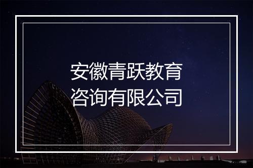 安徽青跃教育咨询有限公司