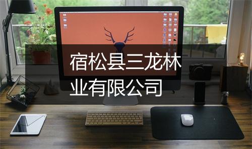 宿松县三龙林业有限公司
