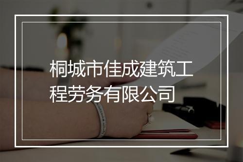 桐城市佳成建筑工程劳务有限公司
