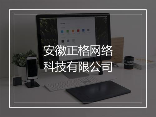 安徽正格网络科技有限公司