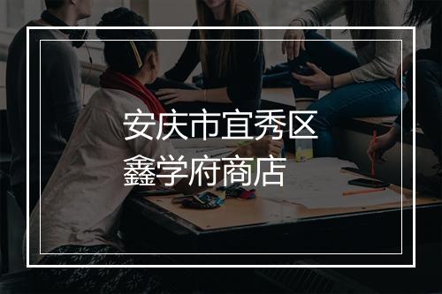 安庆市宜秀区鑫学府商店