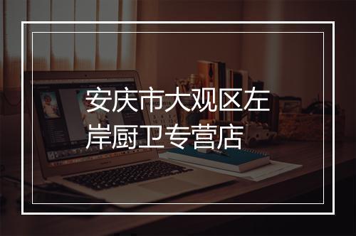 安庆市大观区左岸厨卫专营店