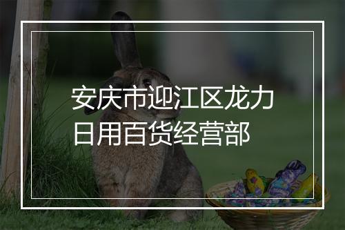 安庆市迎江区龙力日用百货经营部