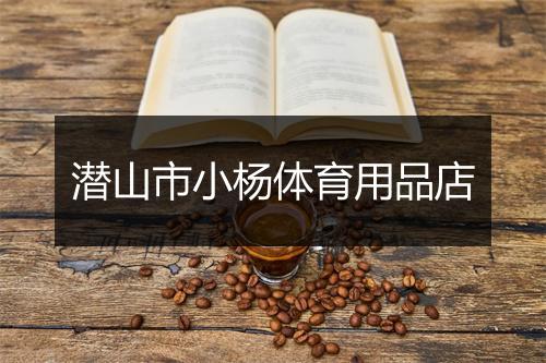 潜山市小杨体育用品店
