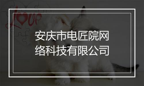 安庆市电匠院网络科技有限公司