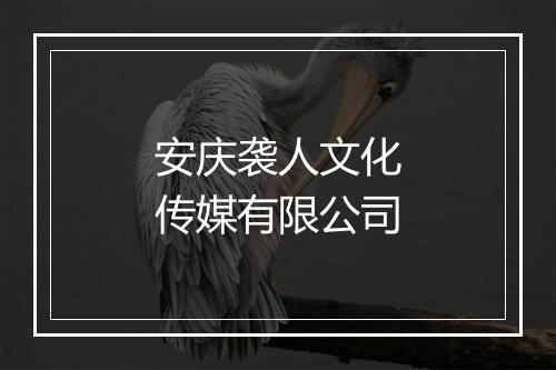 安庆袭人文化传媒有限公司