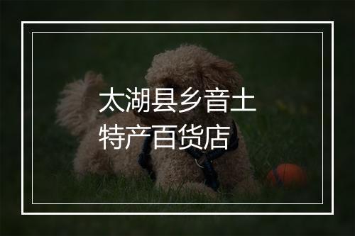 太湖县乡音土特产百货店